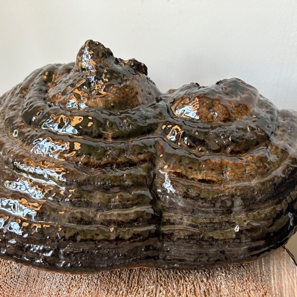 Custom designed Fungi Art - Picture 3 of 4